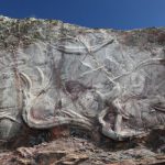 icnofósseis no Geopark naturtejo