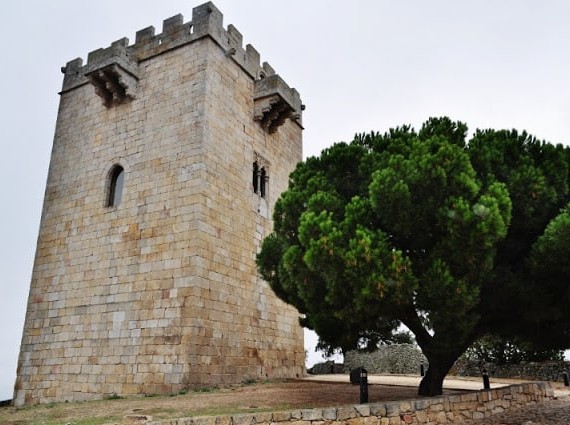 Pinhel a cidade Falcão