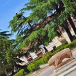 Verraco de Ciudad Rodrigo
