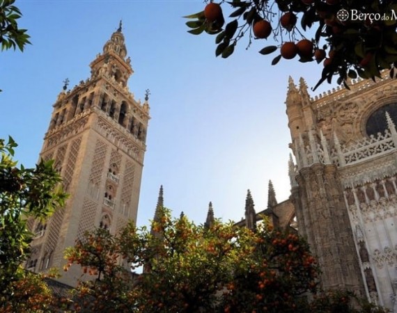 Catedral e giralda em Sevilha
