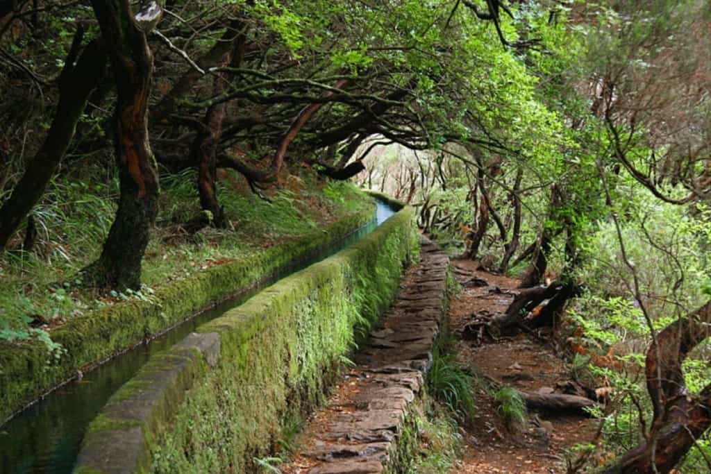 Levadas, uma das maravilhas da natureza da ilha