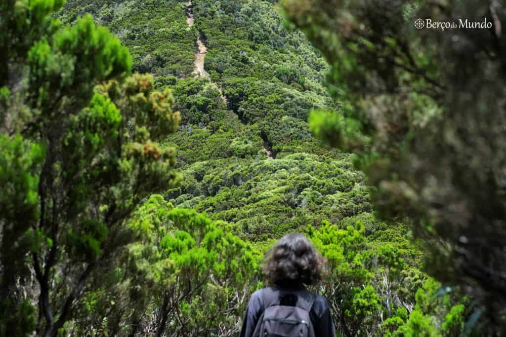 percursos pedestres da ilha Terceira, Açores