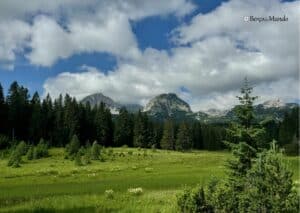 montanhas no parque nacional de Durmitor