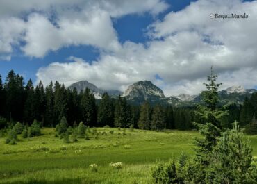 Parque Nacional Durmitor | Montenegro