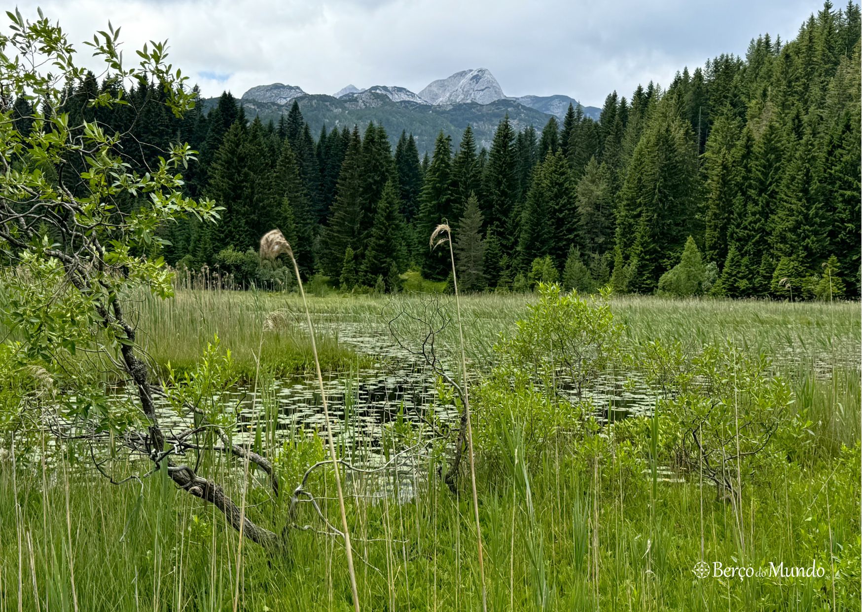 lagos Durmitor
