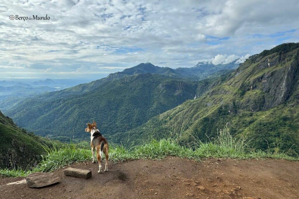 trilho em Ella Sri Lanka