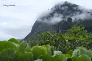 Little Adams Peak em Ella