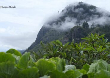 Ella, Sri Lanka: o paraíso montanhoso